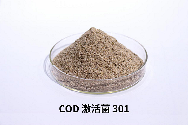 庫(kù)巴魯?COD激活菌301